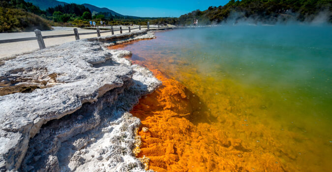 Exploring Rotorua: A Guide To The Best Thermal Attractions